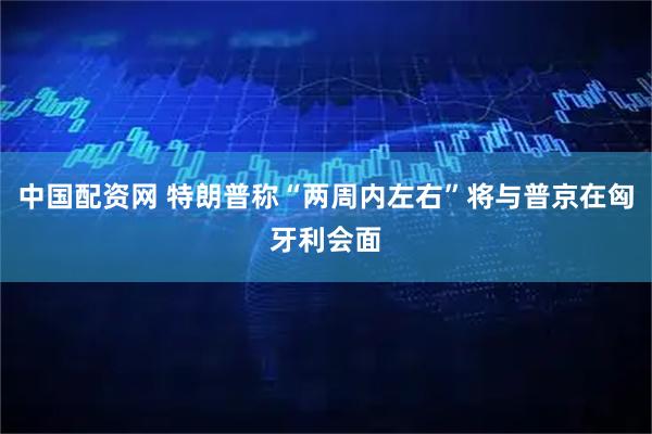 中国配资网 特朗普称“两周内左右”将与普京在匈牙利会面