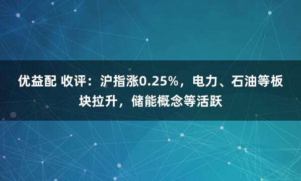 优益配 收评：沪指涨0.25%，电力、石油等板块拉升，储能概念等活跃