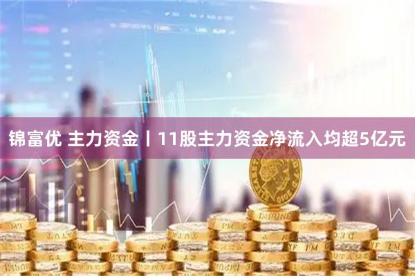 锦富优 主力资金丨11股主力资金净流入均超5亿元