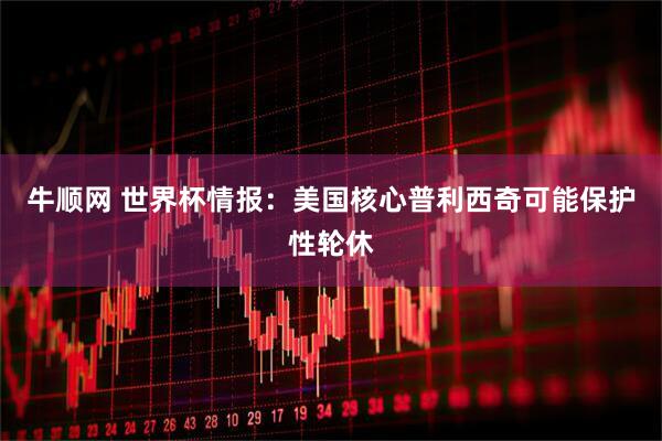 牛顺网 世界杯情报：美国核心普利西奇可能保护性轮休